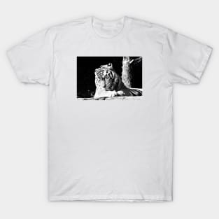 Year of the tiger 2022 / 4 /  Swiss Artwork Photography T-Shirt